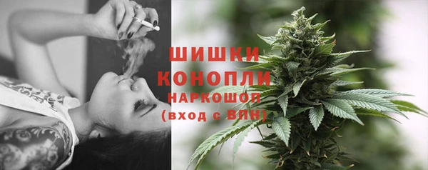 гашиш Богданович