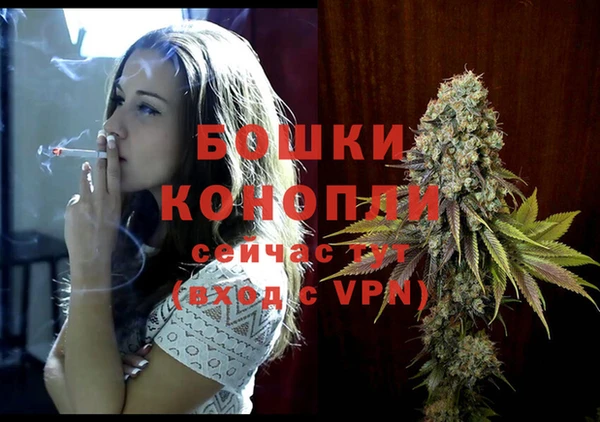 гашиш Богданович