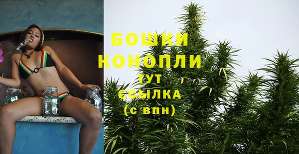 мескалин Богородицк