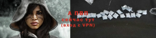 гашиш Богданович
